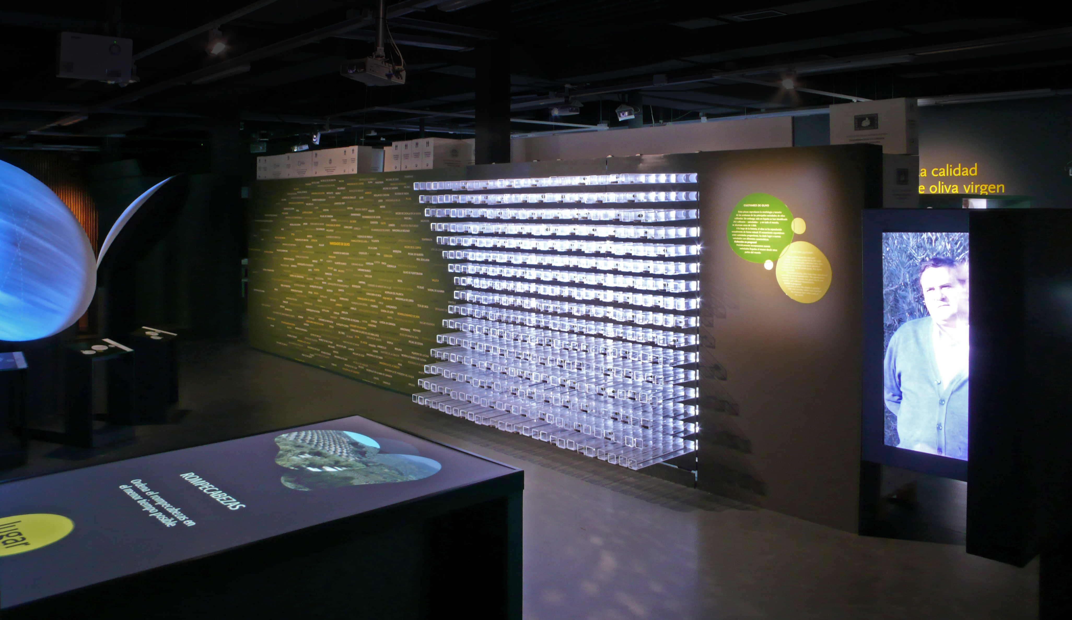 Museo Terra Oleum