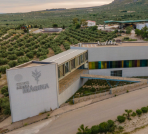 Denominación de Origen Sierra Mágina