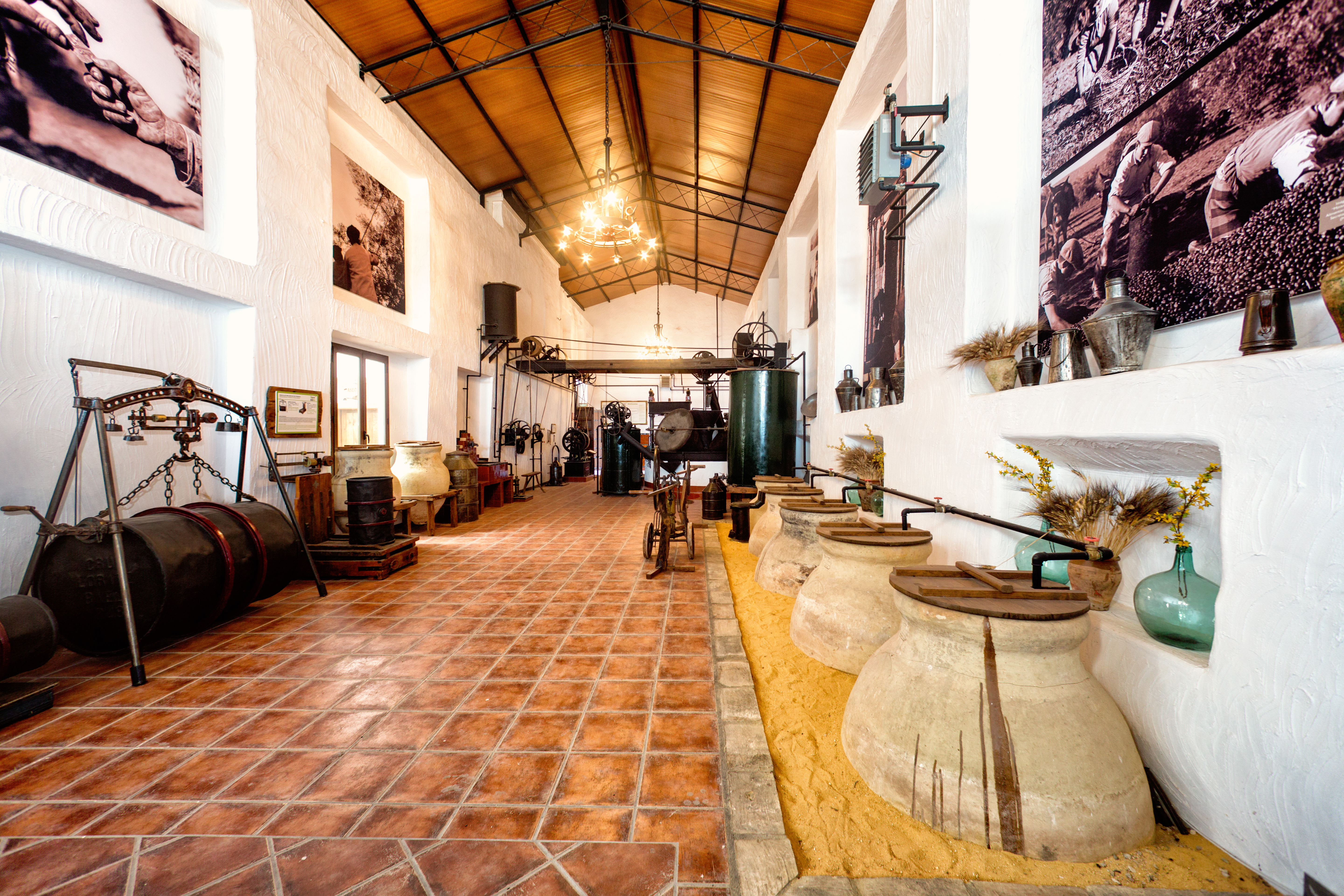 Museo del Aceite Alcalá Oliva