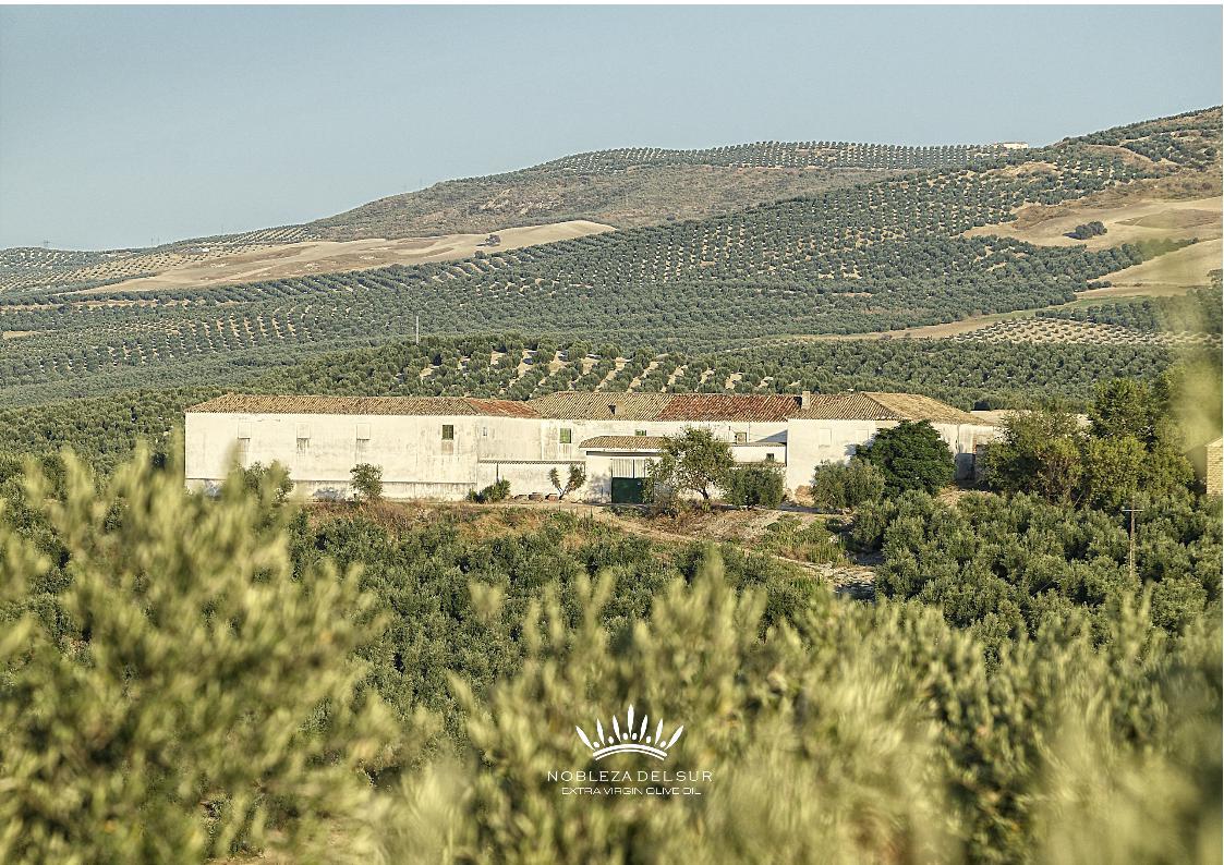 Aceites Castellar - Nobleza del Sur