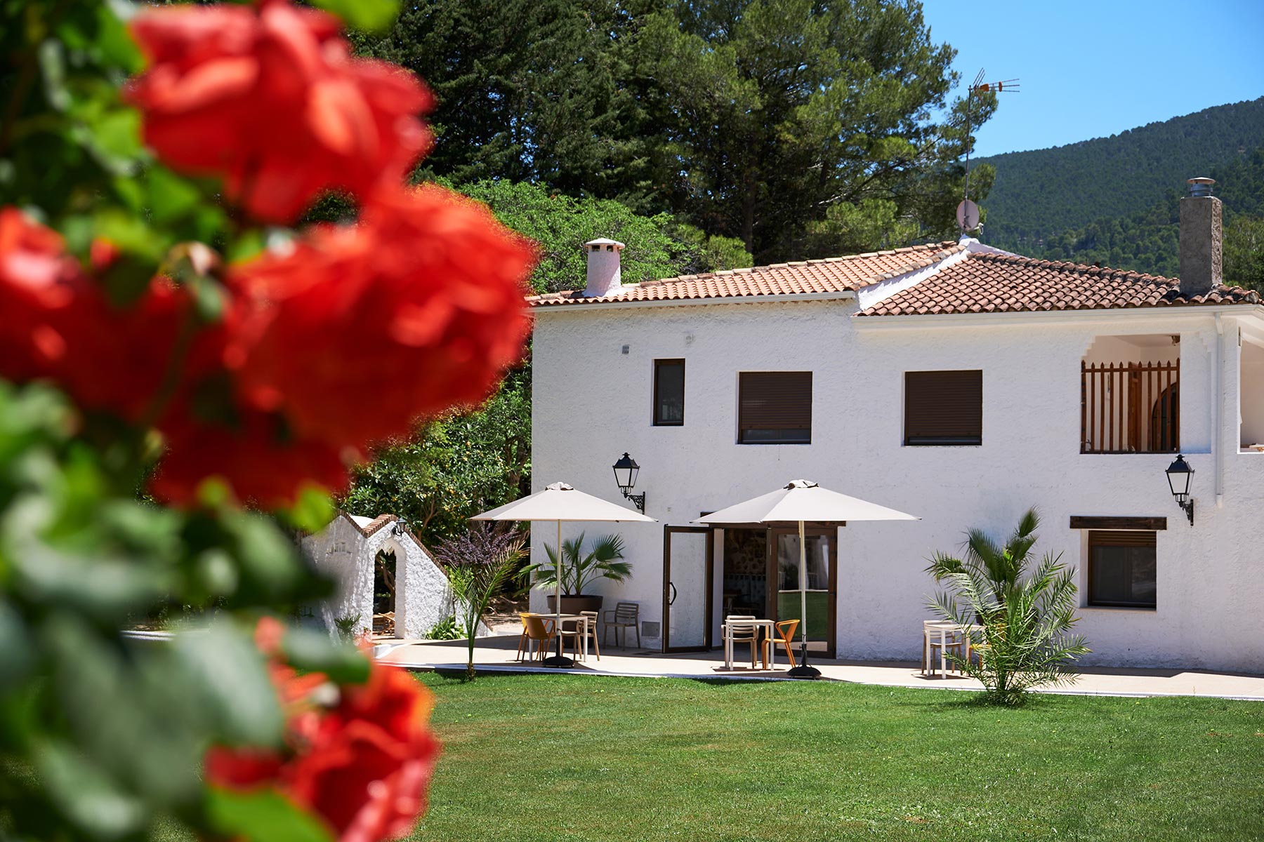 Cortijo Peñardera Sl