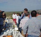 RUTAS DEL OLIVO
