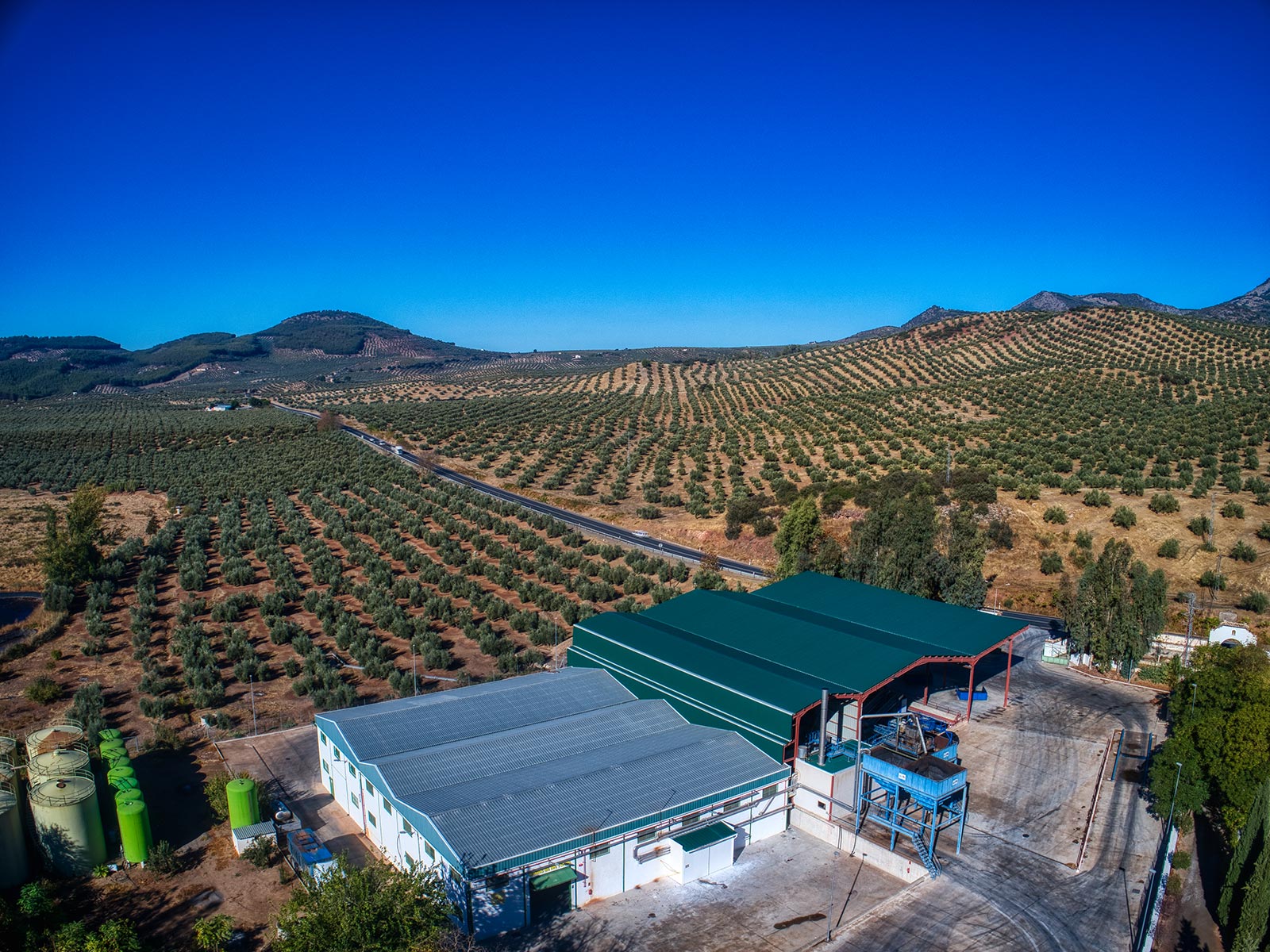 Explotaciones Agrícolas las Rozas, S.L.