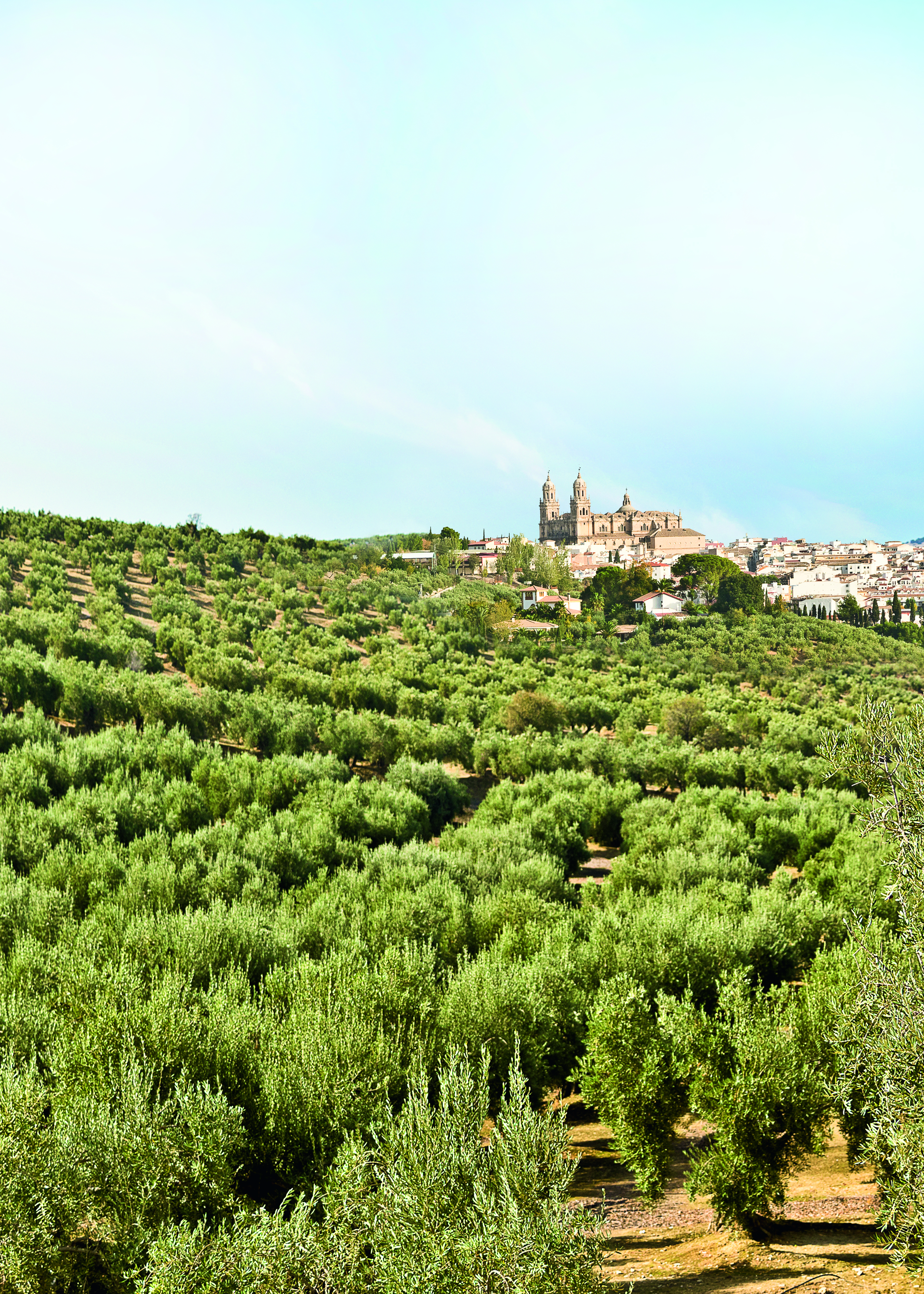 S.C.A. Ciudad de Jaén