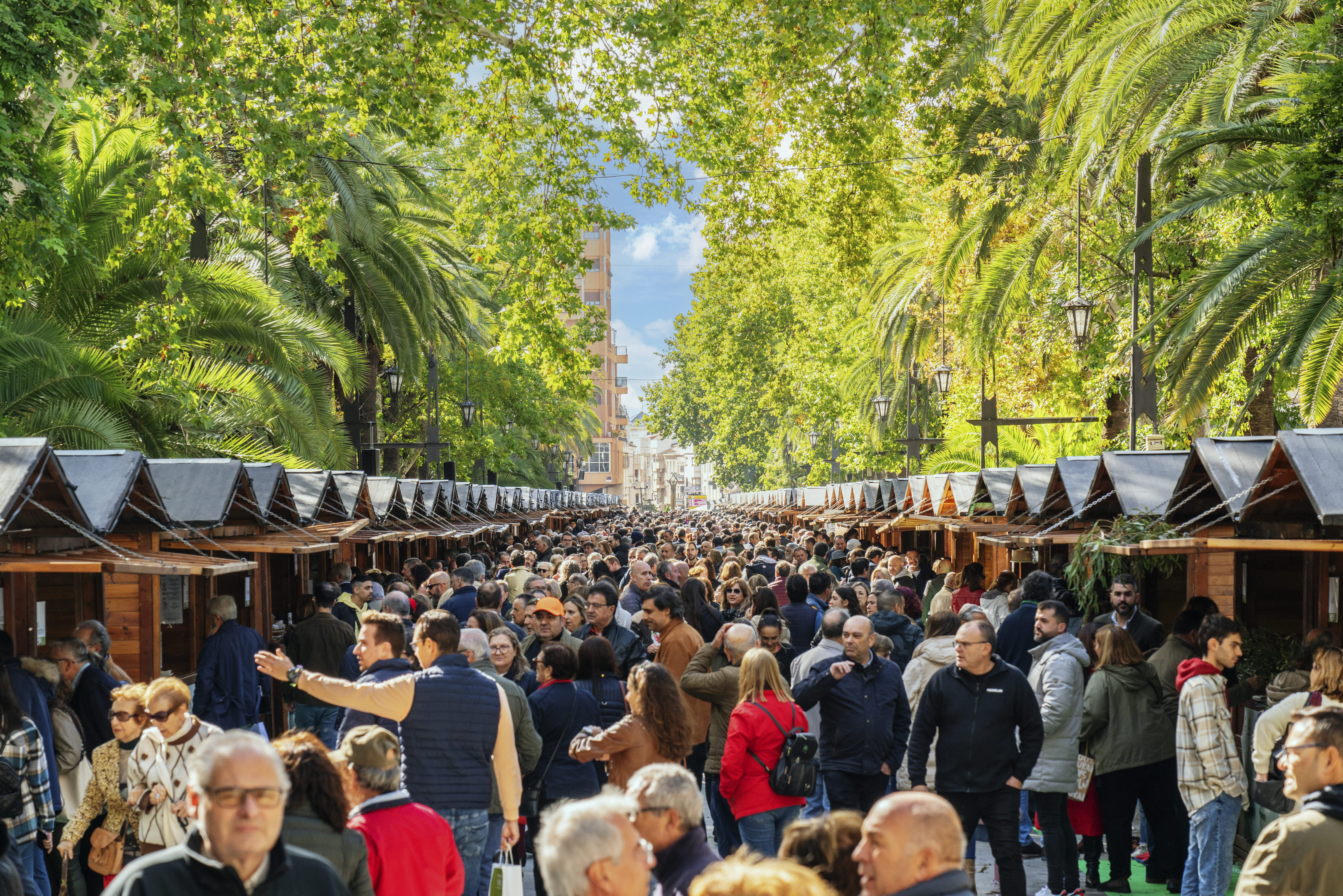 Fiesta del Primer Aceite