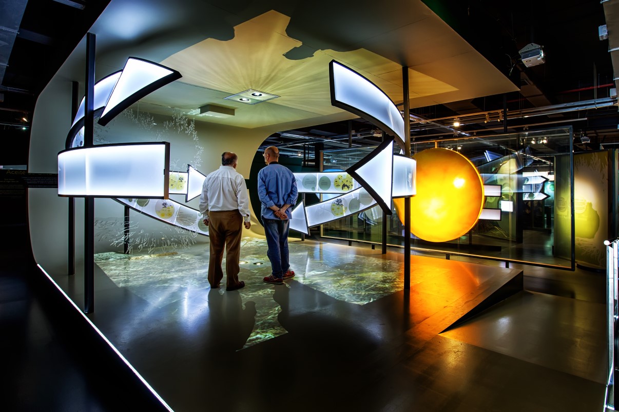 Museo Terra Oleum