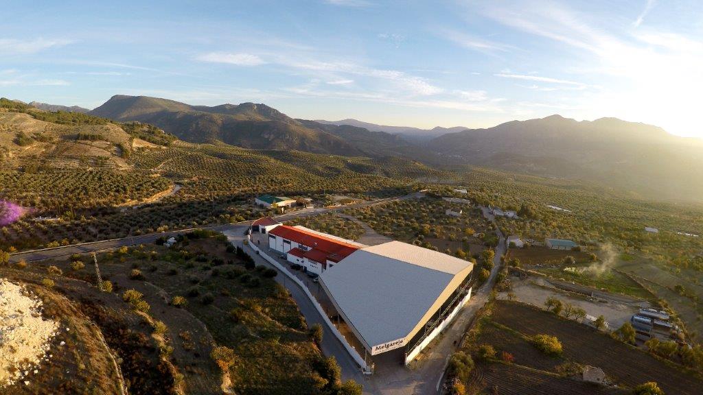 Descubre nuestra pasión, paso a paso