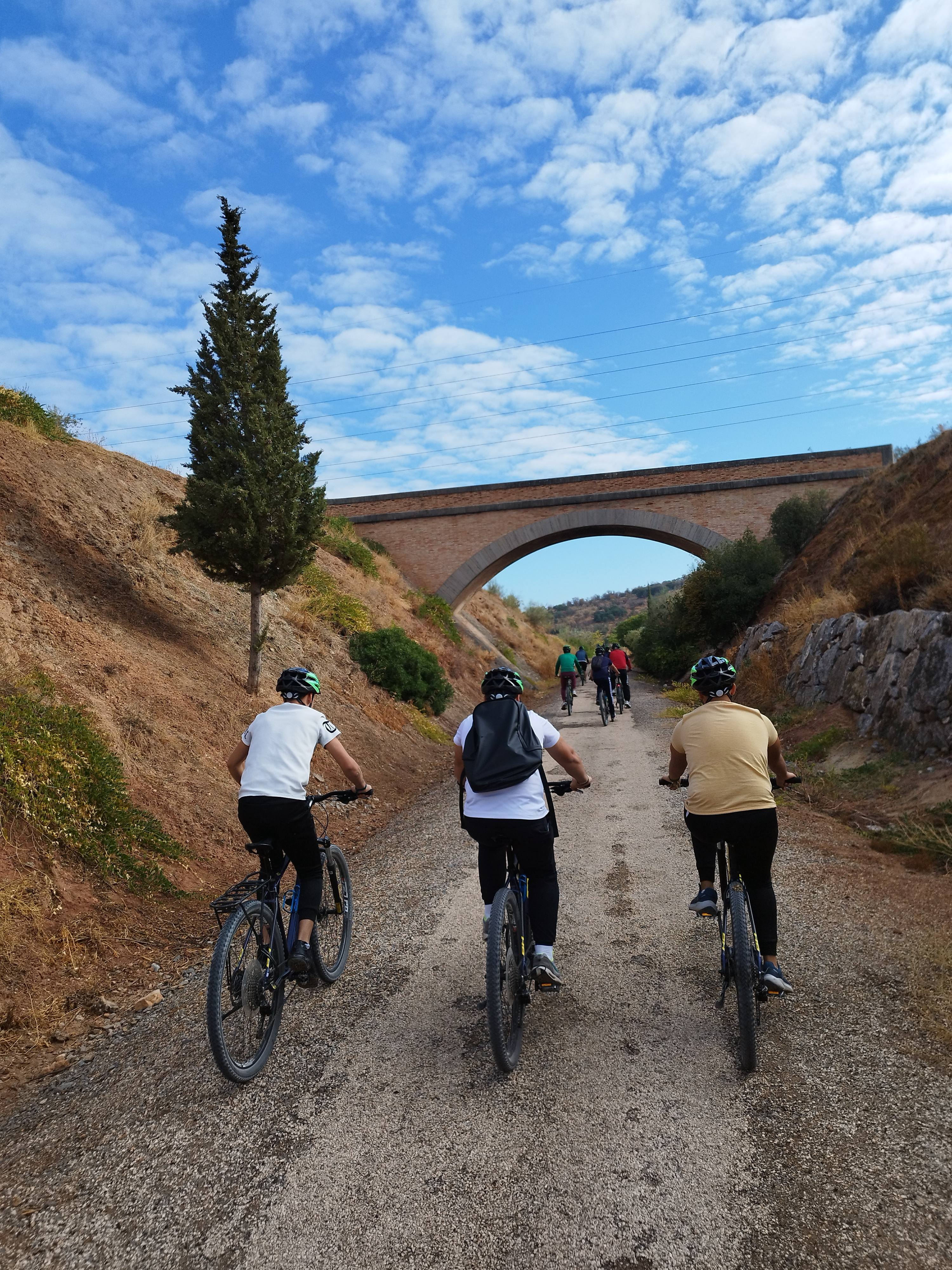 Vía Verde del Aceite: Un paseo sostenible hacia el corazón del olivar