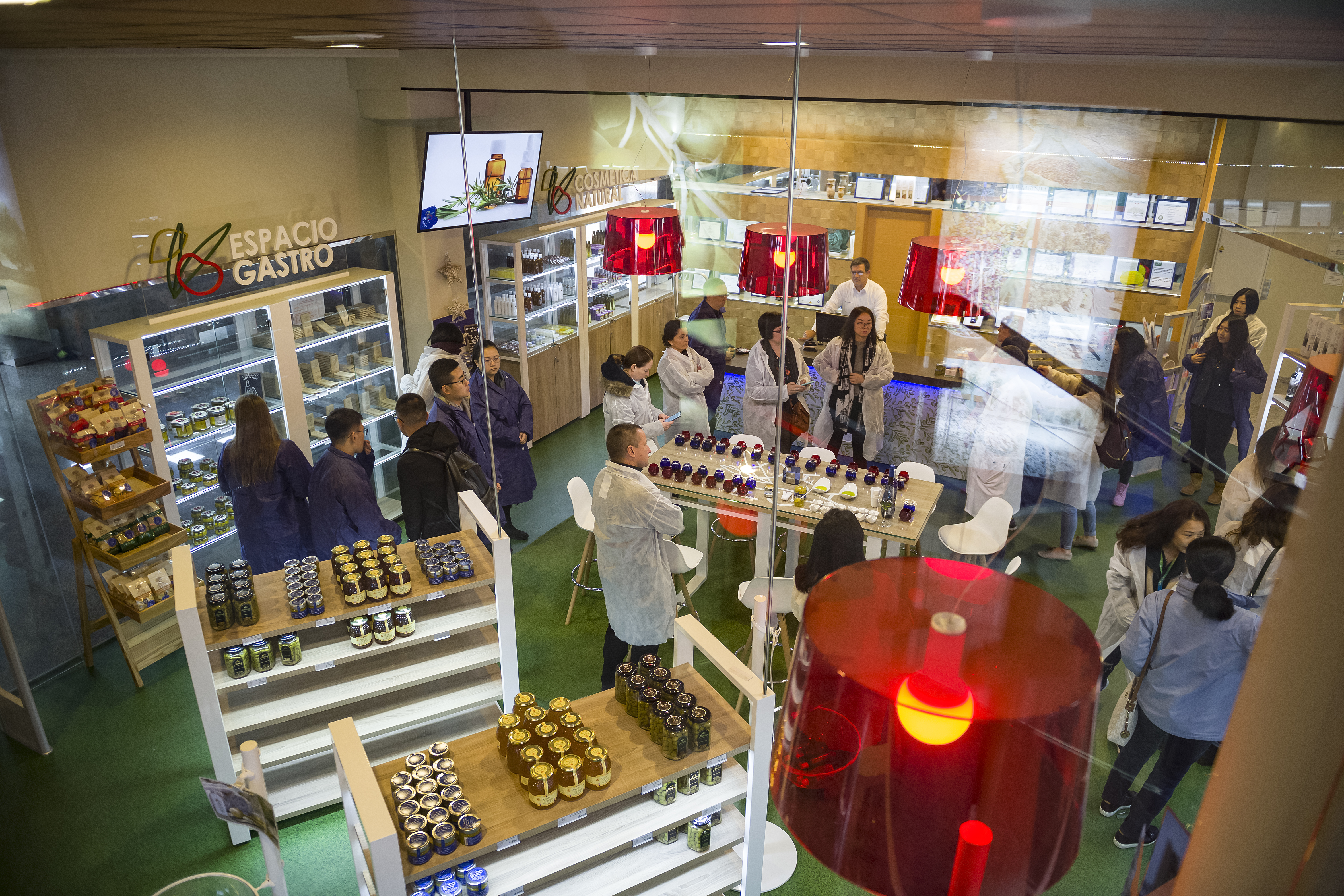 Elixir del Olivo: Una Experiencia Sensorial