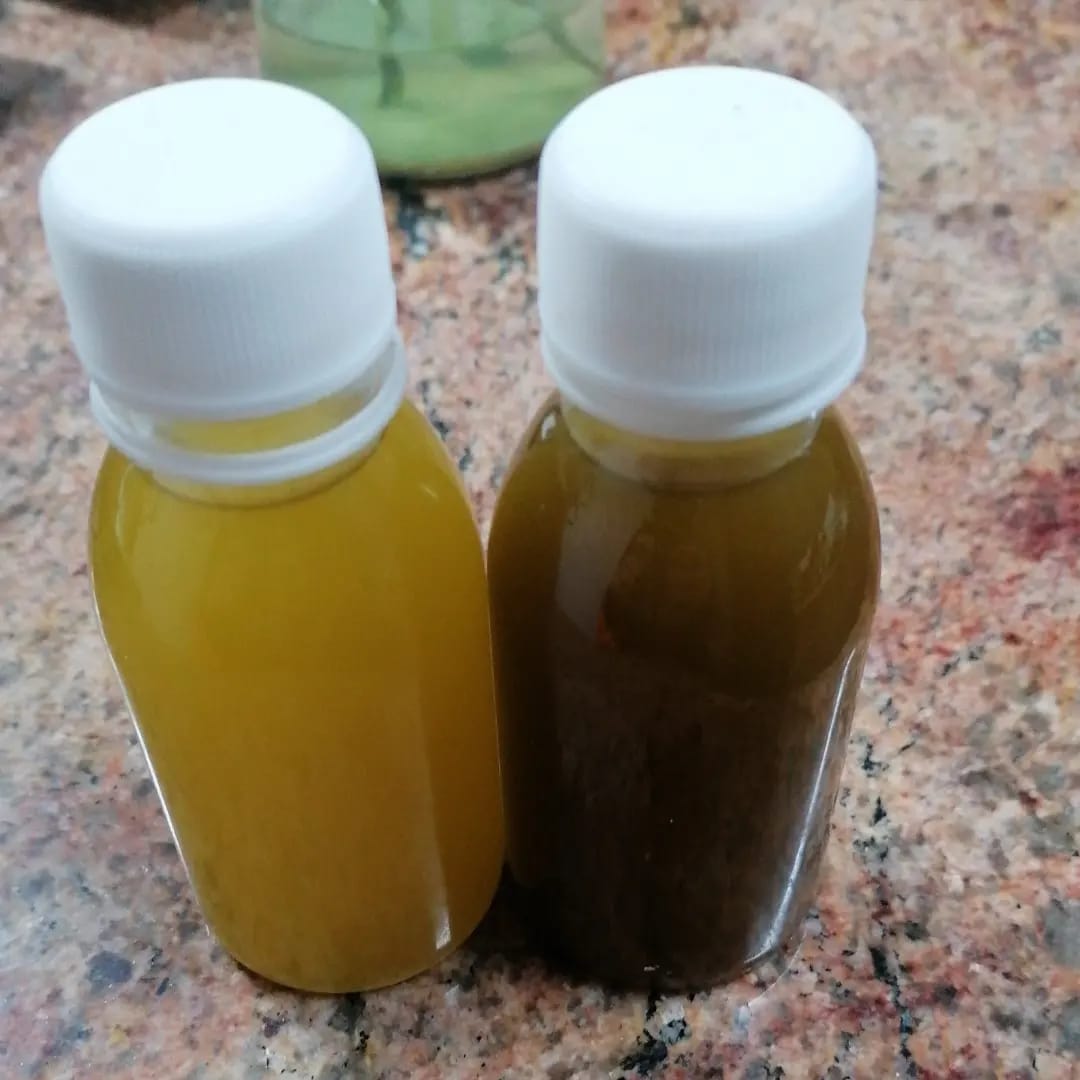Recolección y sabor del AOVE en familia