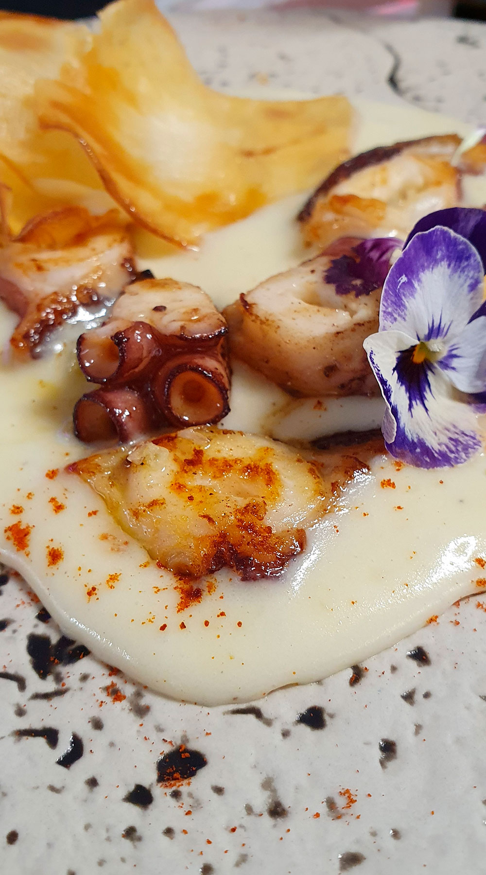 Raíces de Olivo: Sabores del Mar de Jaén