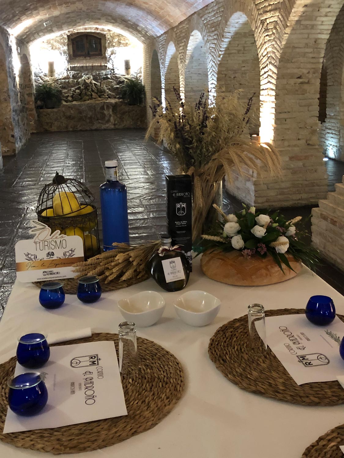 Entre Olivos y Tradición - Cata Premium de AOVE