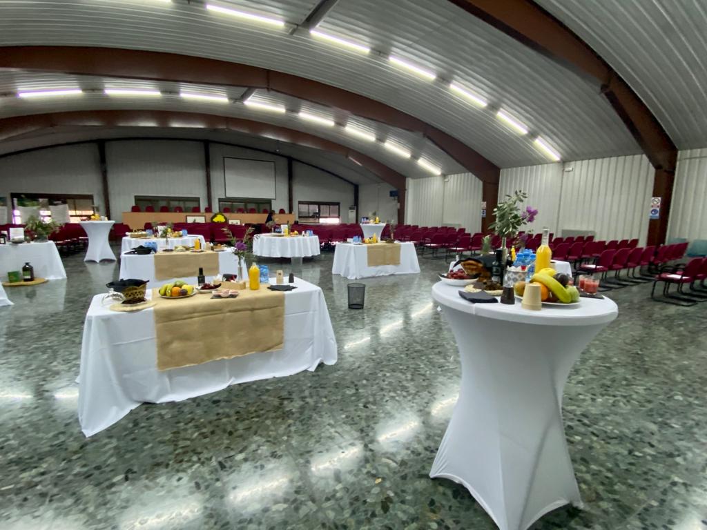 Entre prensas, aromas y aceite