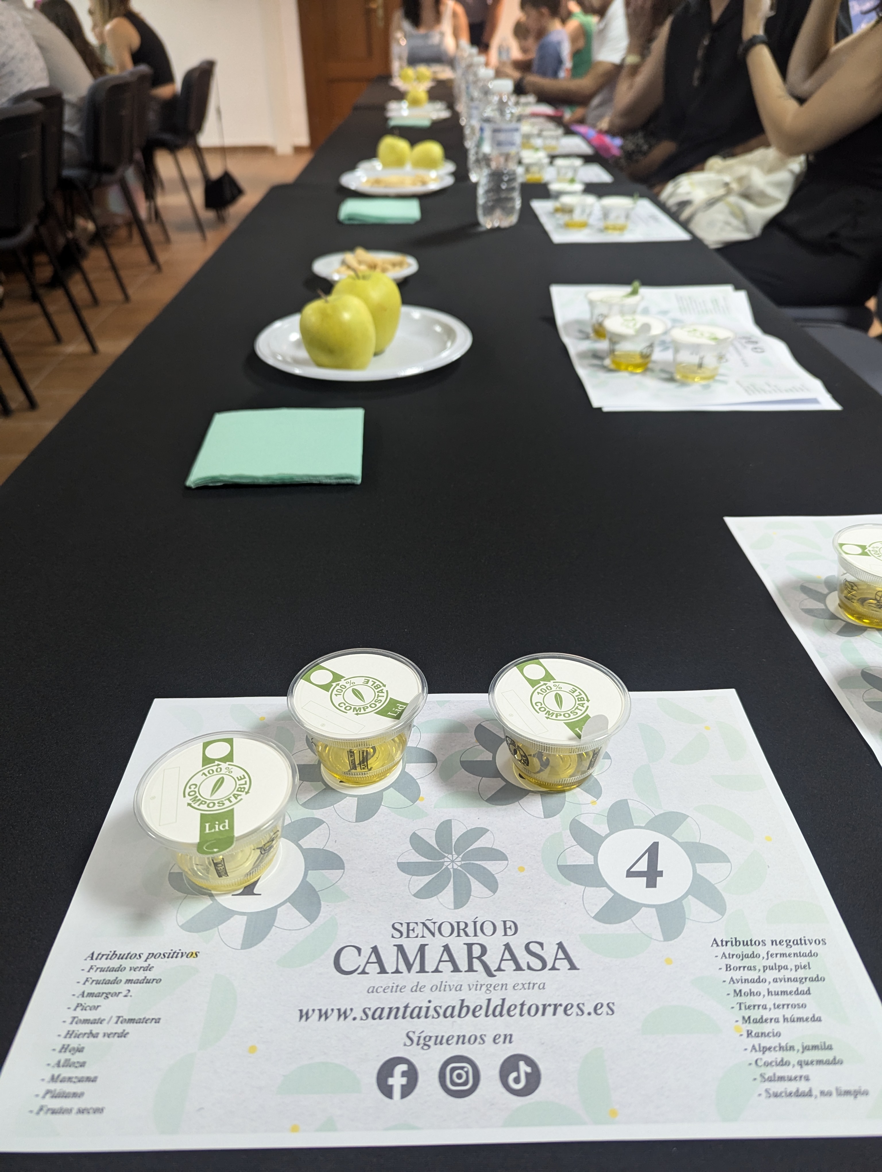 Olivos y Sabores Locales en Señorío de Camarasa