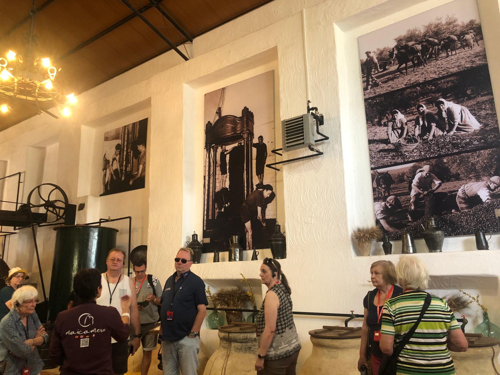 Entre Olivos y Sabores: Vive la cultura del AOVE