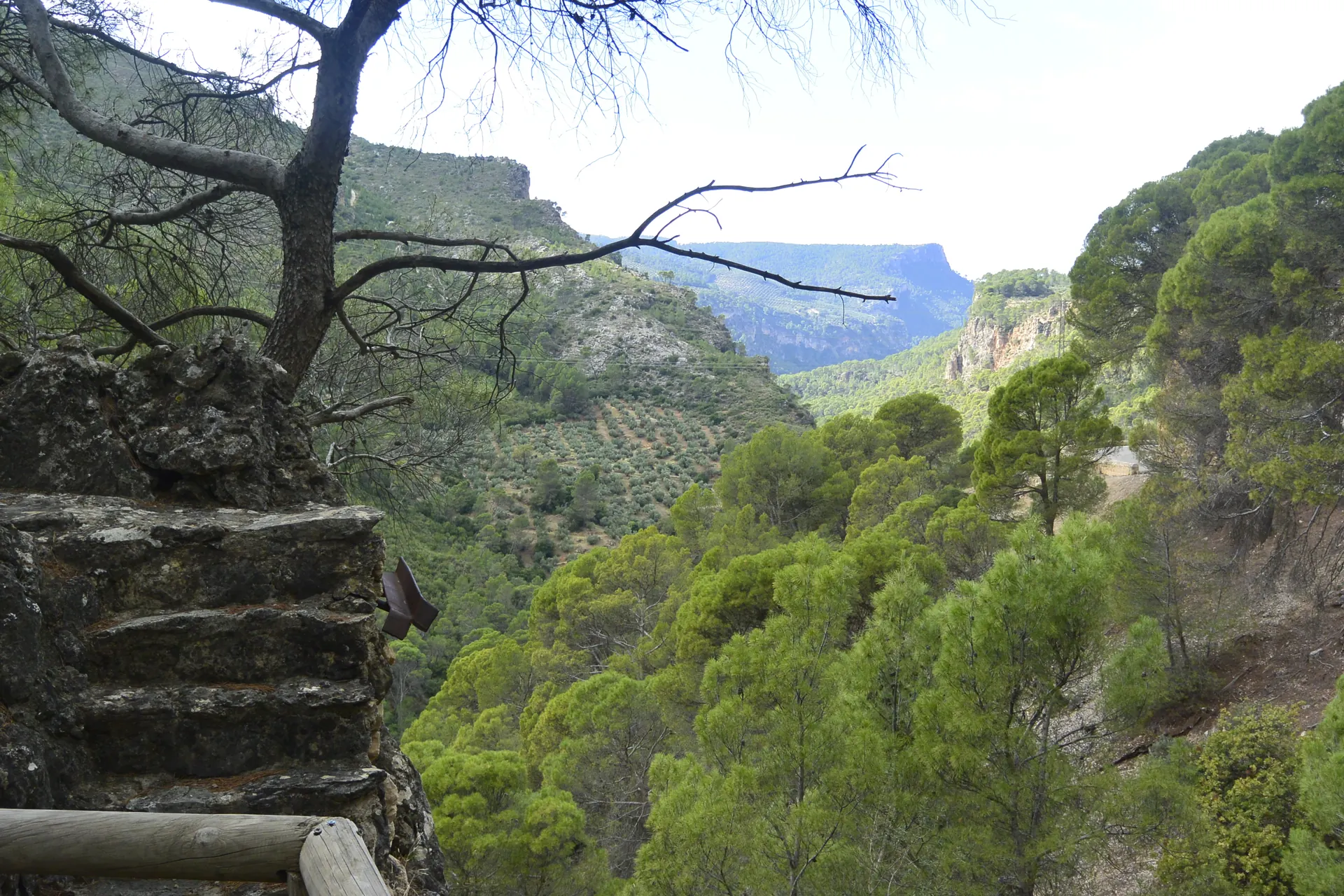 Mirador Fuente Negra