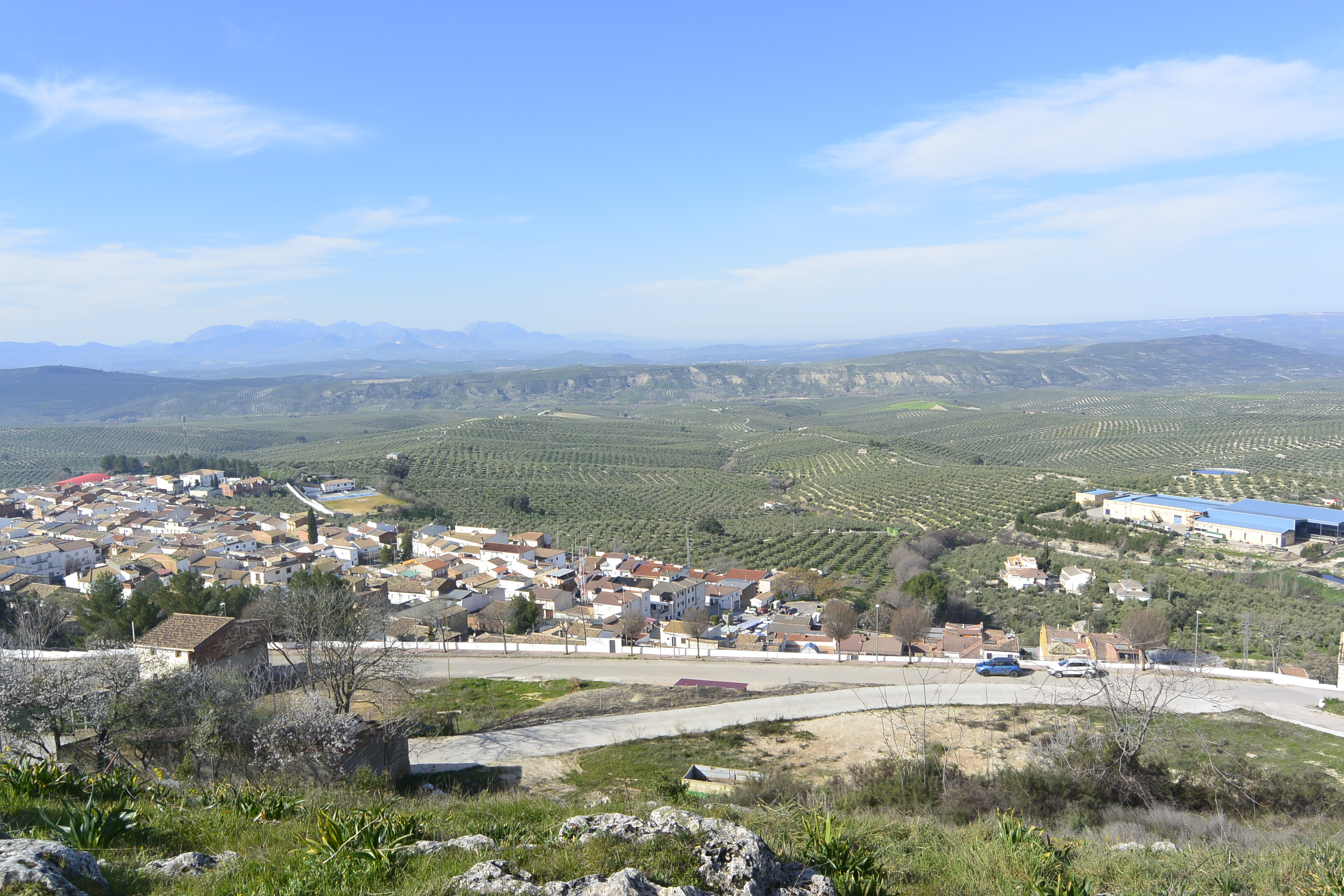 Mirador Artístico del Olivar - Chilluévar