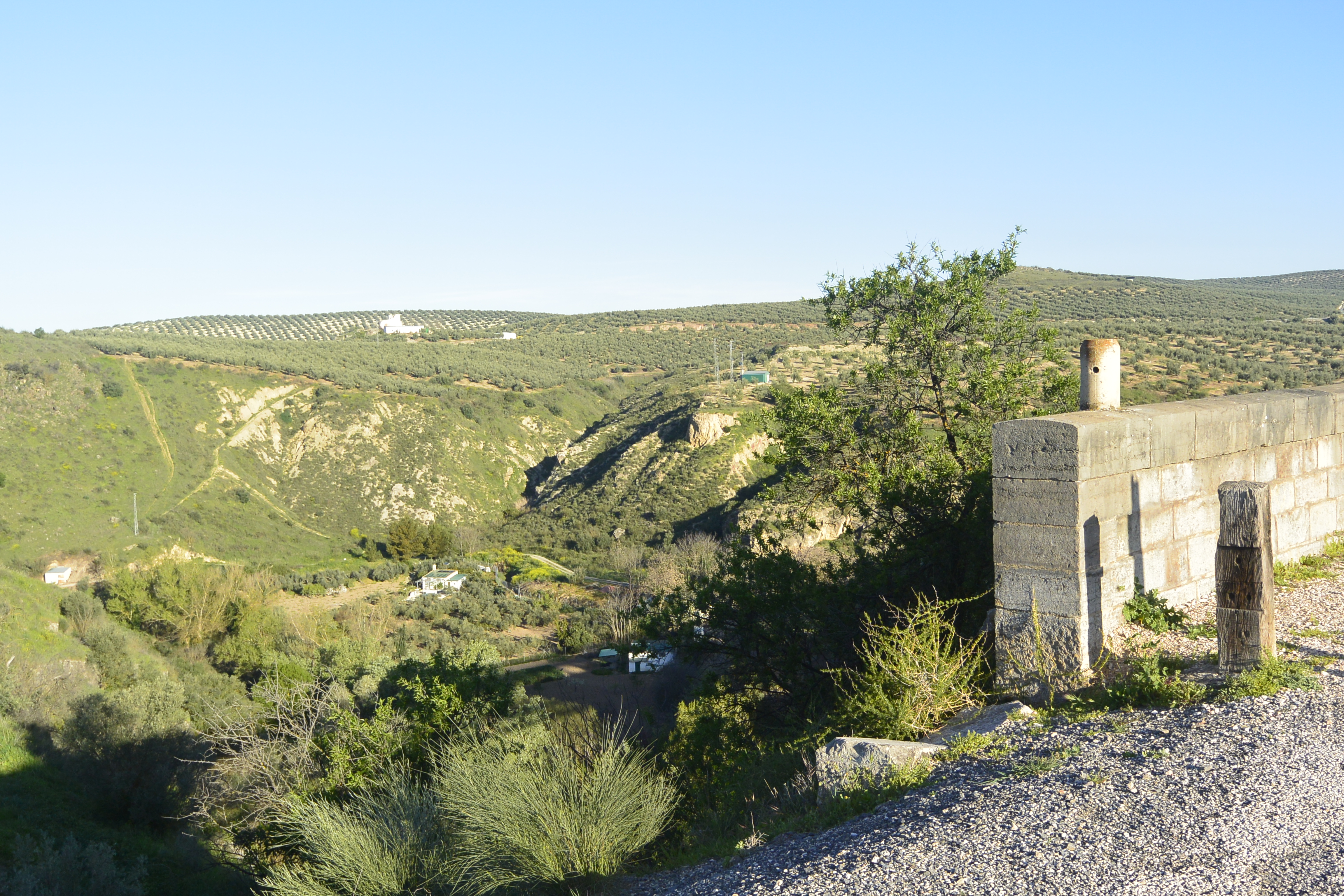 Puente del Río Vívoras
