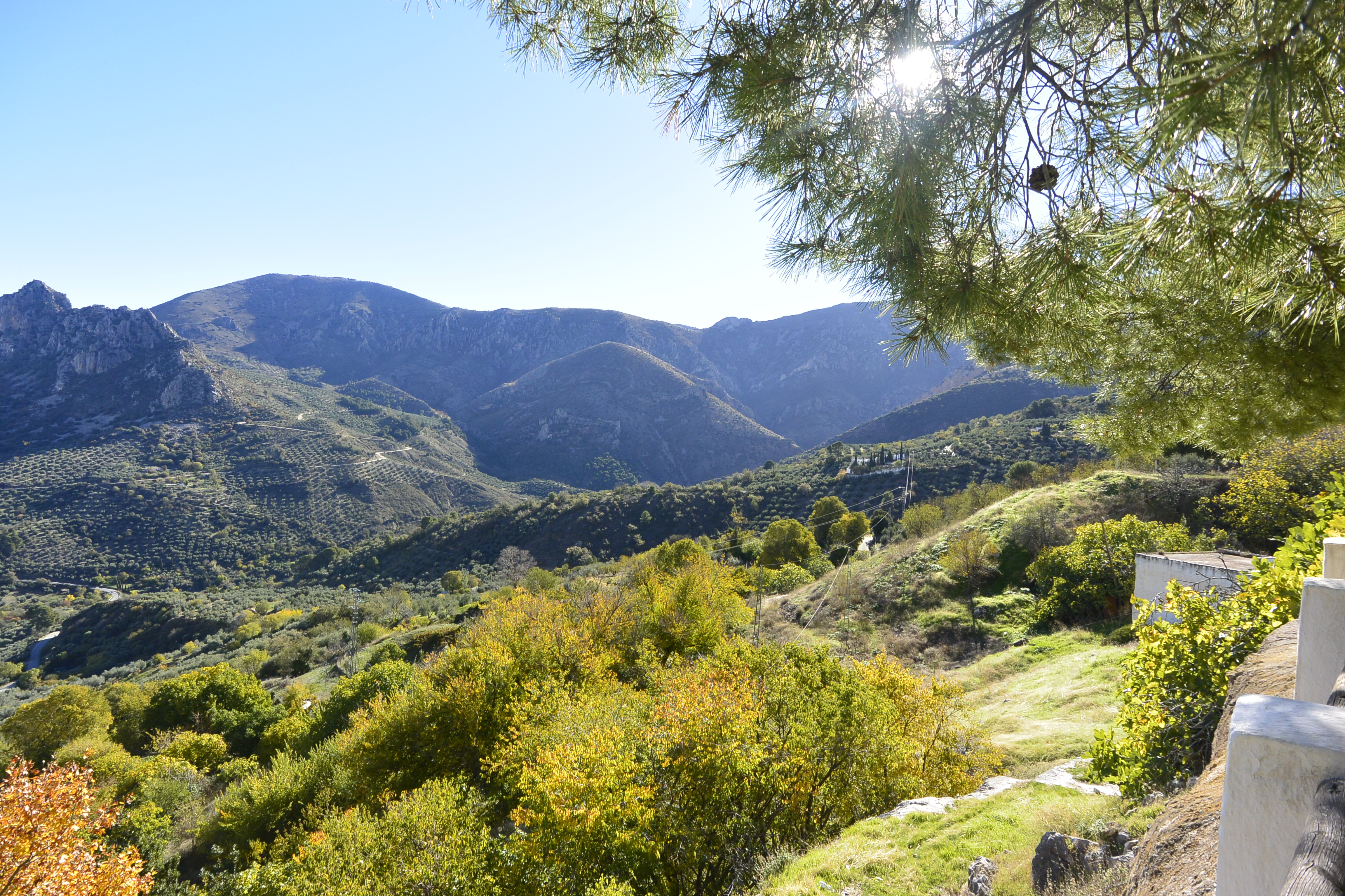 Mirador Artístico del Olivar Albanchez de Mágina