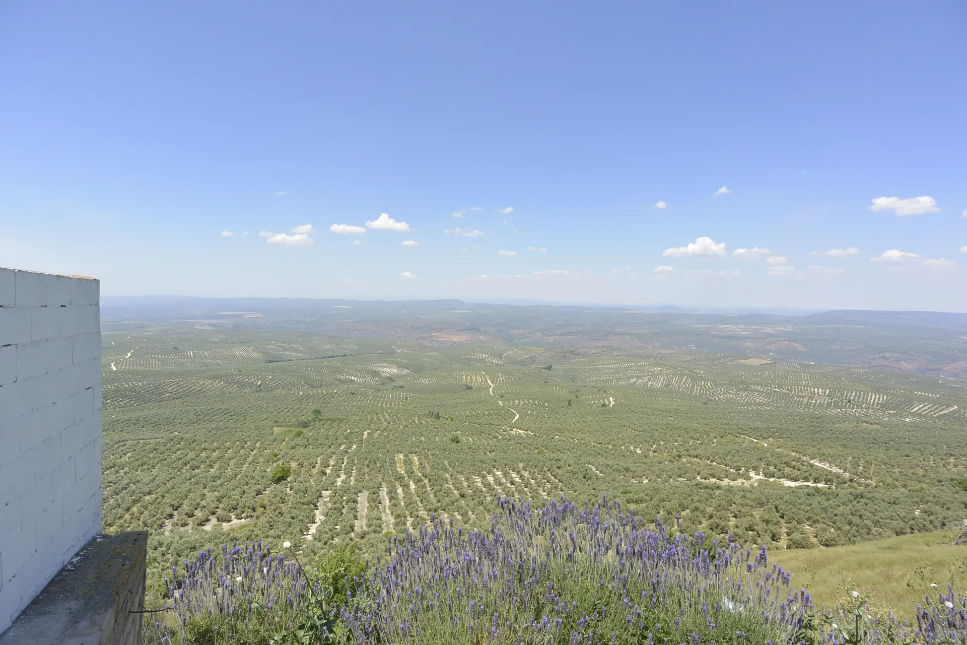 Mirador Iznatoraf enamora